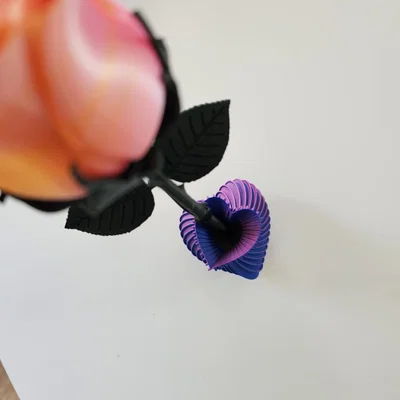 Bình Hoa Trái Tim - Heart Vase (Love Vase)