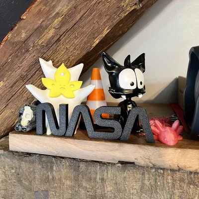 Mô hình trang trí NASA Worm Logo in 3D đẹp mắt