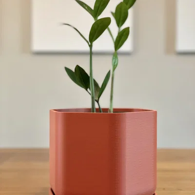 Chậu Trồng Cây Lục Giác Mềm Có Lỗ Thoát Nước & Khay Hứng Nước