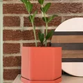 Chậu Trồng Cây Lục Giác Mềm Có Lỗ Thoát Nước & Khay Hứng Nước - Thumbnail 3