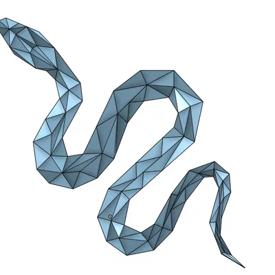 Mô hình rắn hình học Geo Snake in 3D độc đáo