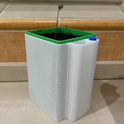 Chậu Cây Tự Tưới (Self Watering Plant Pot)
