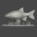 Mô hình tượng cá trang trí để bàn (Fish statue) cực đẹp cho in 3D - Thumbnail 4