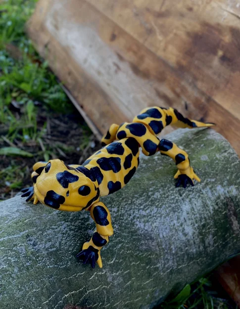 Mô hình kỳ giông (Salamander) in 3D với khớp nối linh hoạt - Image 1