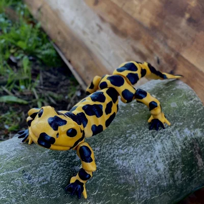 Mô hình kỳ giông (Salamander) in 3D với khớp nối linh hoạt