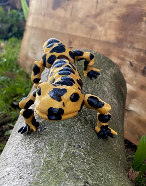 Mô hình kỳ giông (Salamander) in 3D với khớp nối linh hoạt - Image 2