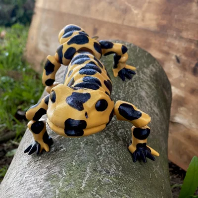 Mô hình kỳ giông (Salamander) in 3D với khớp nối linh hoạt