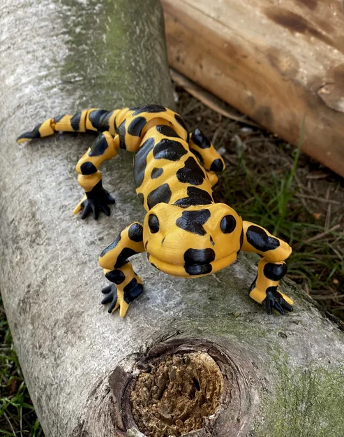 Mô hình kỳ giông (Salamander) in 3D với khớp nối linh hoạt - Image 3