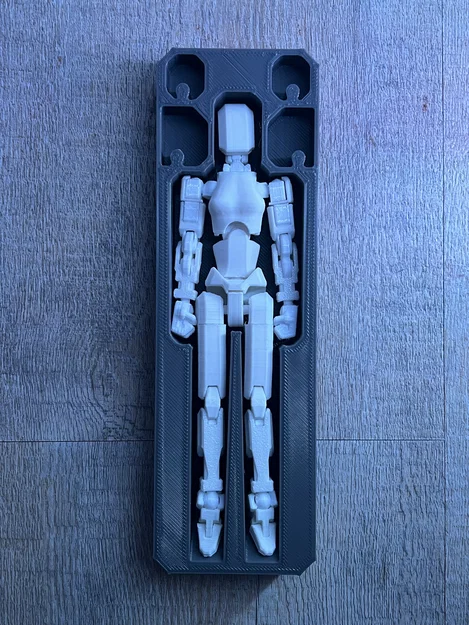 Mô hình khay đựng Lady13s (MK13 Lady13s Version) in 3D - Image 1