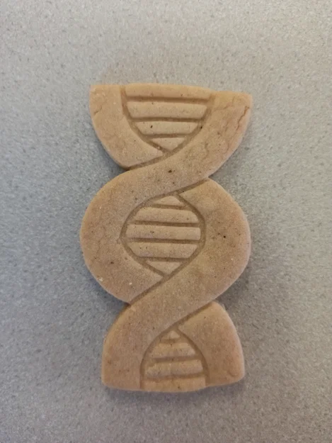 Khuôn cắt bánh quy hình DNA độc đáo cho người yêu khoa học - Image 1