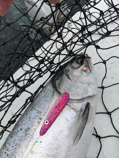 Spoon Câu Cá (Fishing Spoons) - Image 1