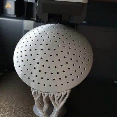 Đầu vòi sen tưới cây 3D đường kính 34mm tiện lợi