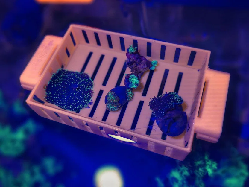 Khay ươm frag nổi cho bể cá – Floating reef frag tray – Print in place - Image 1