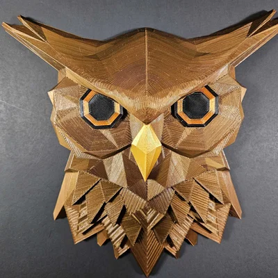 Tranh Treo Tường Cú Săn Đêm Midnight Hunter Owl