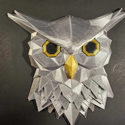 Tranh Treo Tường Cú Săn Đêm Midnight Hunter Owl