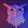 Tranh Treo Tường Cú Săn Đêm Midnight Hunter Owl - Thumbnail 4