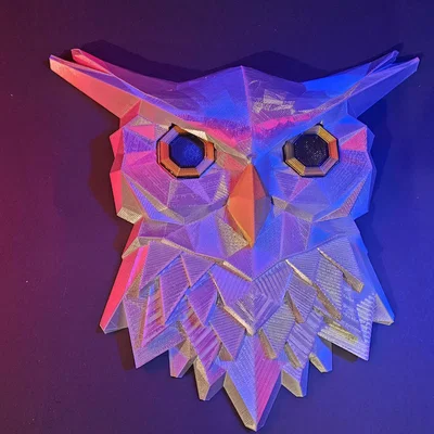 Tranh Treo Tường Cú Săn Đêm Midnight Hunter Owl