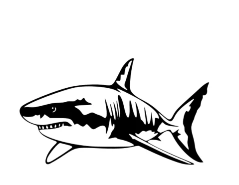 Mô hình cá mập trắng (Big White Shark) in 3D độc đáo trang trí đẹp - Image 1