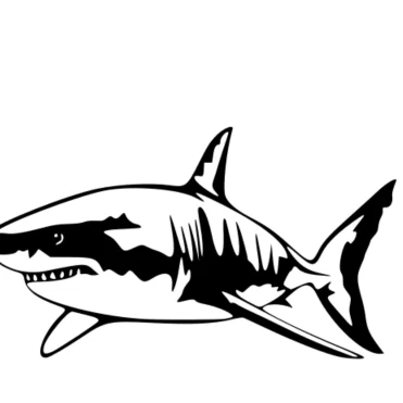 Mô hình cá mập trắng (Big White Shark) in 3D độc đáo trang trí đẹp