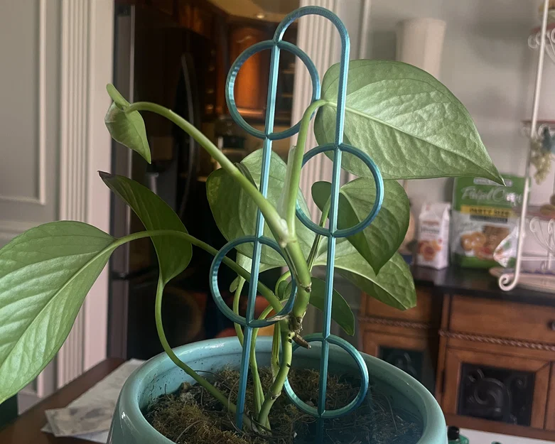 Khung đỡ cây cảnh Circles Plant Trellis - Hỗ trợ cây leo phát triển - Image 1