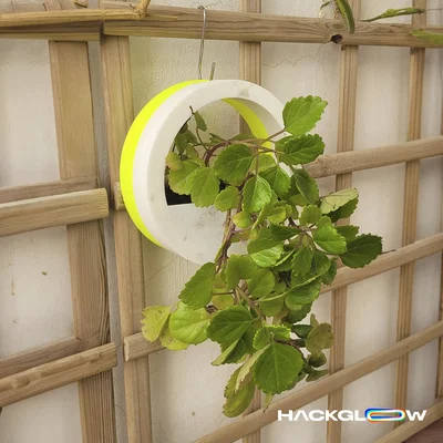 Chậu Treo Tường Hình Tròn (Circle Wall Planter)