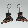 Mẫu in 3D móc khóa chó Rottweiler độc đáo cho người yêu cún - Thumbnail 2