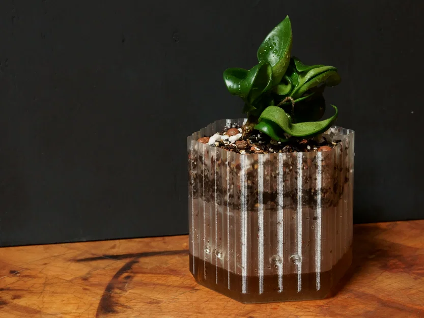 Chậu tự tưới nước (in 1 lần kiểu Spiral Vase/Vase Mode) - Image 3