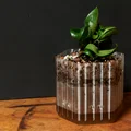 Chậu tự tưới nước (in 1 lần kiểu Spiral Vase/Vase Mode) - Thumbnail 3
