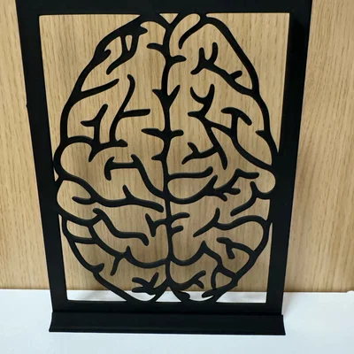 Mô hình trang trí bàn làm việc hình bộ não độc đáo