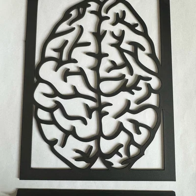 Mô hình trang trí bàn làm việc hình bộ não độc đáo