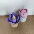 Hộp Cất Nhẫn Hình Hoa Cơ Khí (Mechanical Flower Ring Storage Box) - Thumbnail 1