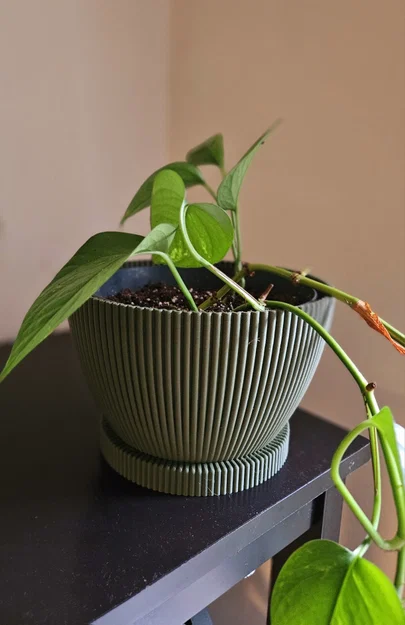 Chậu cây Wavey Planter thiết kế vân sóng hiện đại - Image 1