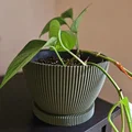 Chậu cây Wavey Planter thiết kế vân sóng hiện đại - Thumbnail 1