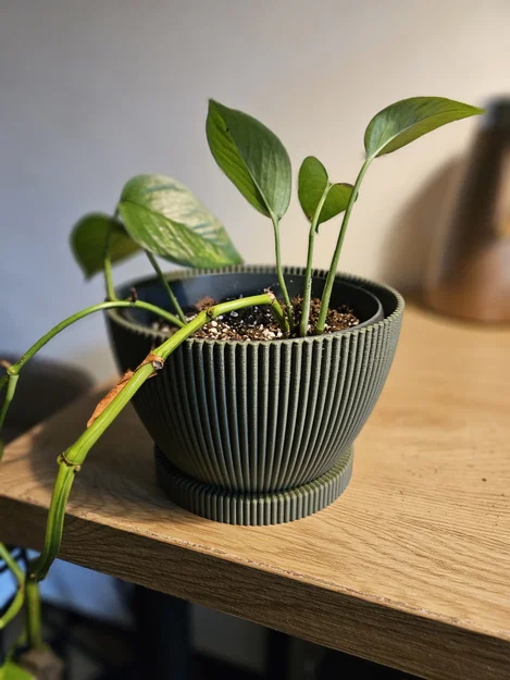 Chậu cây Wavey Planter thiết kế vân sóng hiện đại - Image 2