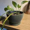 Chậu cây Wavey Planter thiết kế vân sóng hiện đại - Thumbnail 2
