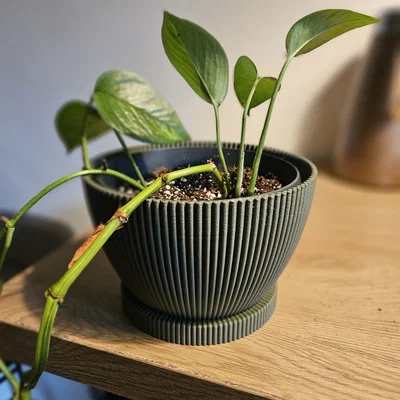 Chậu cây Wavey Planter thiết kế vân sóng hiện đại