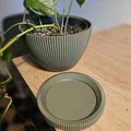 Chậu cây Wavey Planter thiết kế vân sóng hiện đại - Thumbnail 3