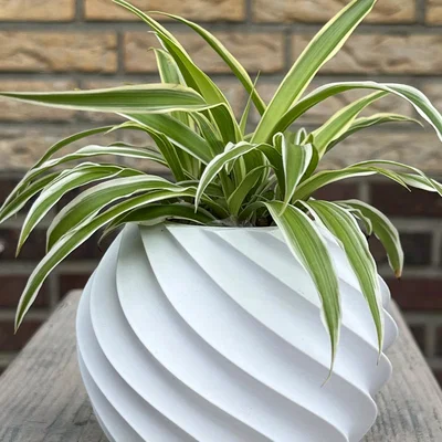 Mẫu chậu trồng cây xoắn ốc (Twist Vase) in 3D tinh tế