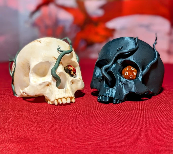 Kệ trưng bày xúc xắc hình sọ – Tưởng niệm nhân vật TTRPG - Image 1