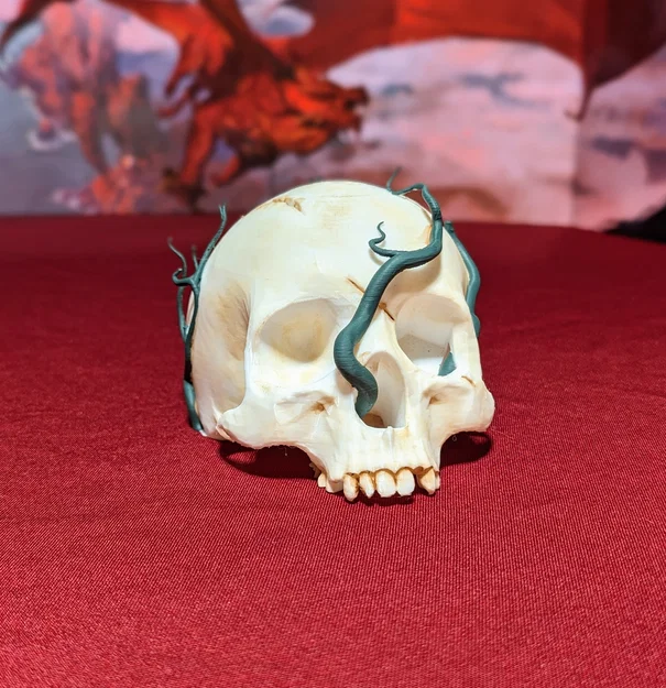 Kệ trưng bày xúc xắc hình sọ – Tưởng niệm nhân vật TTRPG - Image 2