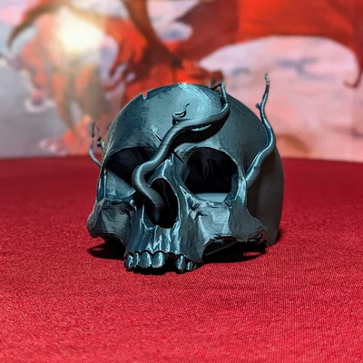 Kệ trưng bày xúc xắc hình sọ – Tưởng niệm nhân vật TTRPG