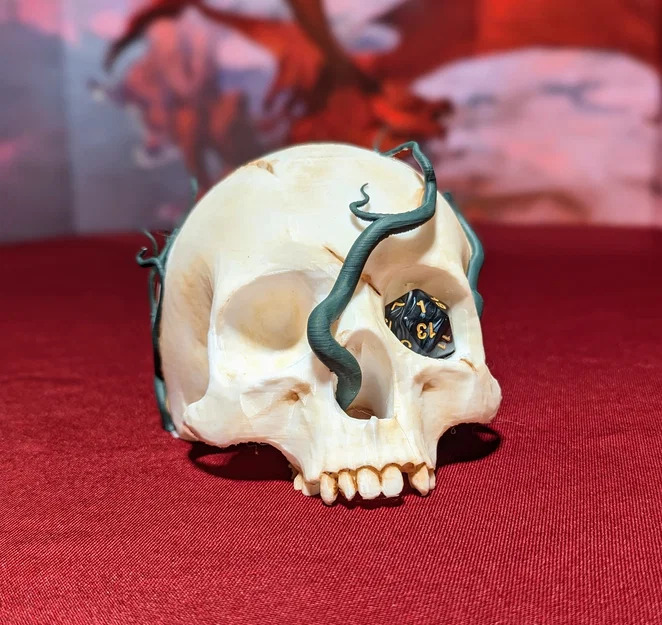 Kệ trưng bày xúc xắc hình sọ – Tưởng niệm nhân vật TTRPG - Image 5
