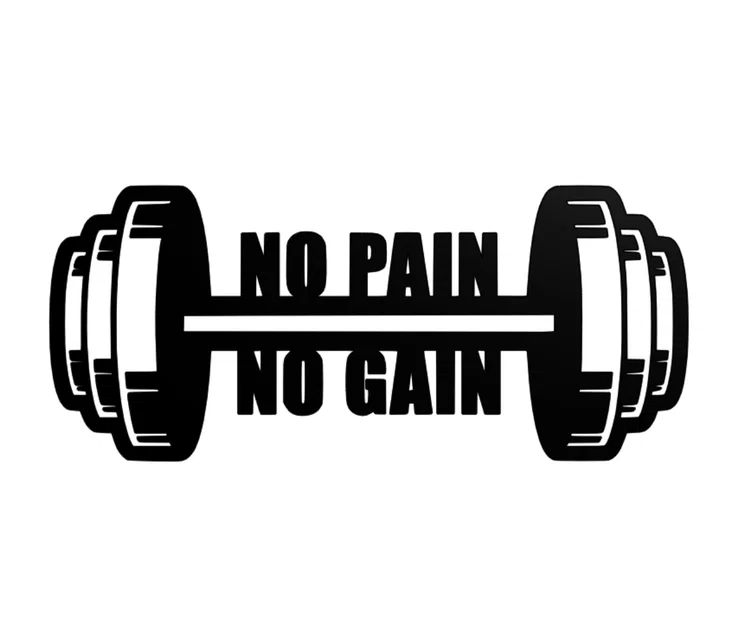 Tranh treo tường 3D No Pain No Gain - Phụ kiện decor phòng tập - Image 1