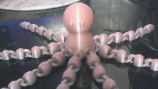 Mô hình bạch tuộc khớp nối (Articulated Octopus) in 3D siêu cute - Image 8