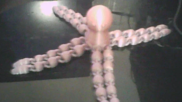 Mô hình bạch tuộc khớp nối (Articulated Octopus) in 3D siêu cute - Image 9