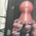 Mô hình bạch tuộc khớp nối (Articulated Octopus) in 3D siêu cute - Thumbnail 14
