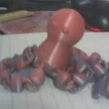Mô hình bạch tuộc khớp nối (Articulated Octopus) in 3D siêu cute - Thumbnail 16