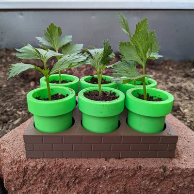 Khay ươm hạt Mario tự tưới (Self Watering)
