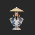 Mô hình tượng Raiden Mortal Kombat 3D - Thiết kế sắc nét cho dân chơi - Thumbnail 1