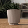 Chậu cây kèm khay hứng nước (Planter with drip container) - Thumbnail 2